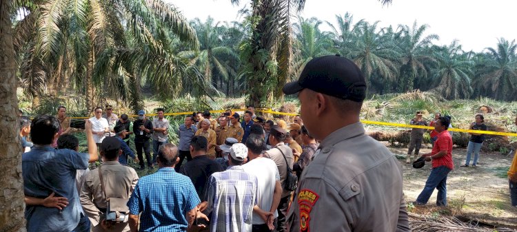  Laham sengketa seluas 633 hektar di Sungai Sodong sudah diberi garis polisi