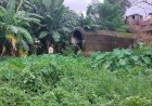 Terancam Hilang, Lahan Goa Jepang  di Palembang Dijual Oknum Warga 