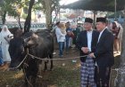 Masjid Agung Palembang Berhasil Potong  15 Ekor Sapi dan 9 Ekor Kambing 