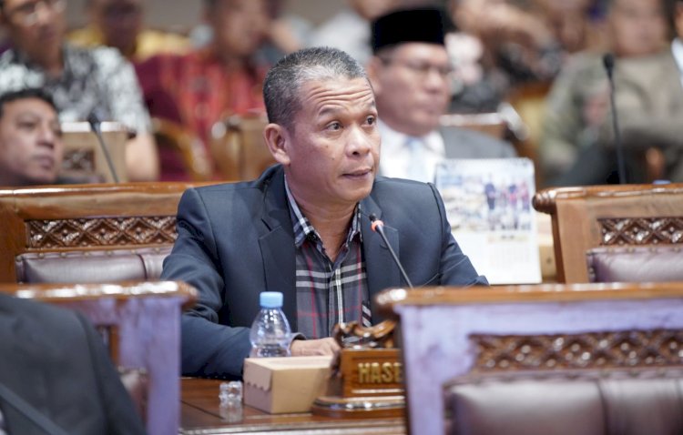 Wakil Ketua Komisi IV DPRD Sumsel, Hasbi Asadiki/ist