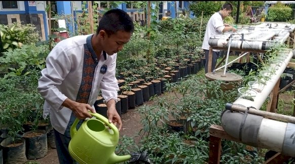 Siswa SMA 6 Palembang menyiram tanaman di lahan sekolah/Foto: Dudy Oskandar