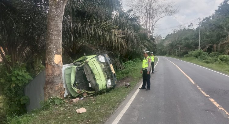 Mobil truk alami kecelakaan tunggal di Jalan Lintas Kabupaten Musi Rawas/Foto:Polres Musi Rawas