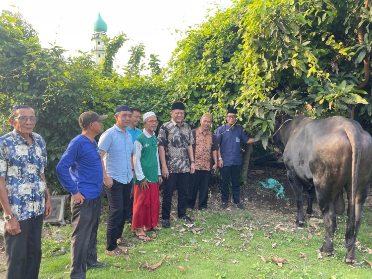  Bupati OKU Timur Ir H Lanosin menyerahkan hewan kurban sapi secara simbolis/Foto:Kominfo OKU Timur