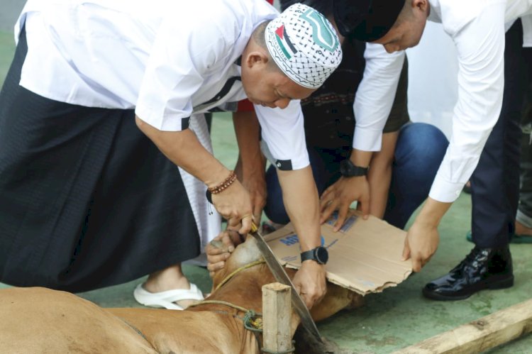  Pj Bupati Empat Lawang menjadi penjagal hewan kurban. (Salim/RMOLSumsel.id)