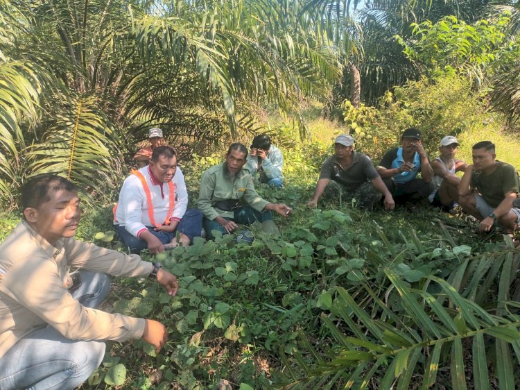 Sejumlah warga Desa Saka Jaya yang menolak pembangunan jalan hauling RMKO. (ist/rmolsumsel,id)