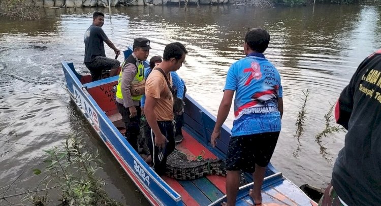 Buaya sepanjang 3 meter ditangkap warga Sungai Menang (dokumentasi Polres OKI)