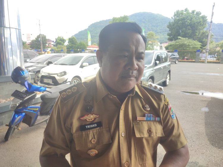 Pj Wali Kota Lubuklinggau H Trisko Defriansa. (Handout)