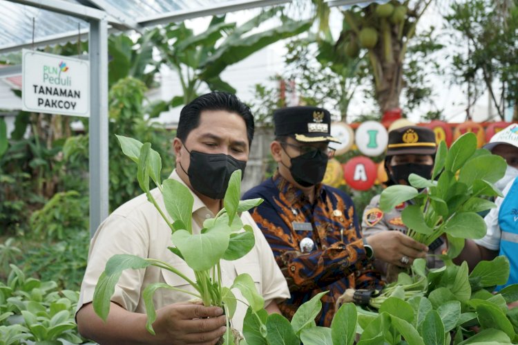  Kebun Hidroponing alam hijau yang sempat ditinjau Menteri BUMN Erik Thohir . (Handout)