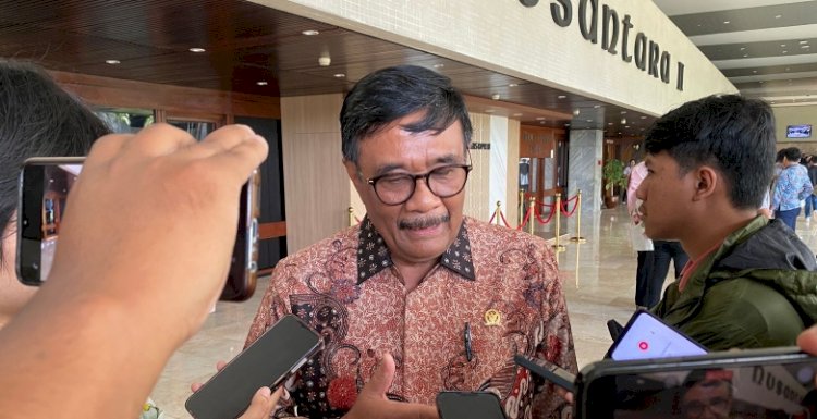 Ketua DPP PDIP Bidang Kaderisasi, Djarot Saiful Hidayat/RMOL