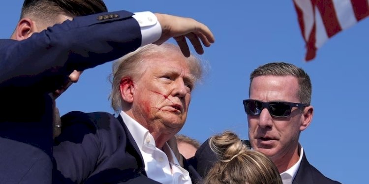 Donald Trump/Net