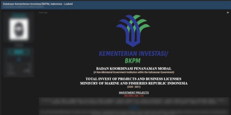 Akun @falconfeeds.io mengunggah data Kementerian Investasi/Badan Koordinasi Penanaman Modal (BPKM) yang diduga telah bocor ke pasar gelap atau dark web/X: @falconfeeds.io