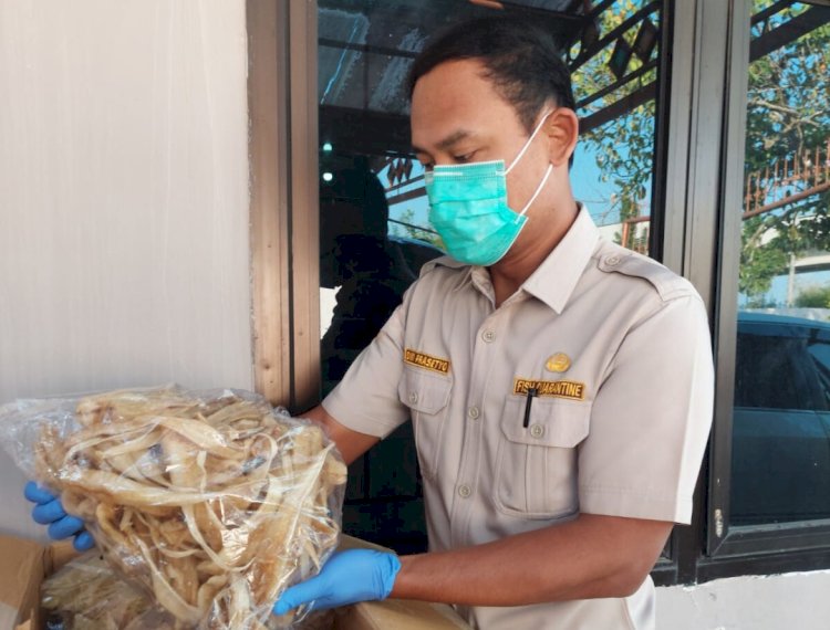 Petugas Balai Karantina saat menunjukkan produk Gelembung Renang Ikan. (ist/rmolsumsel.id) 