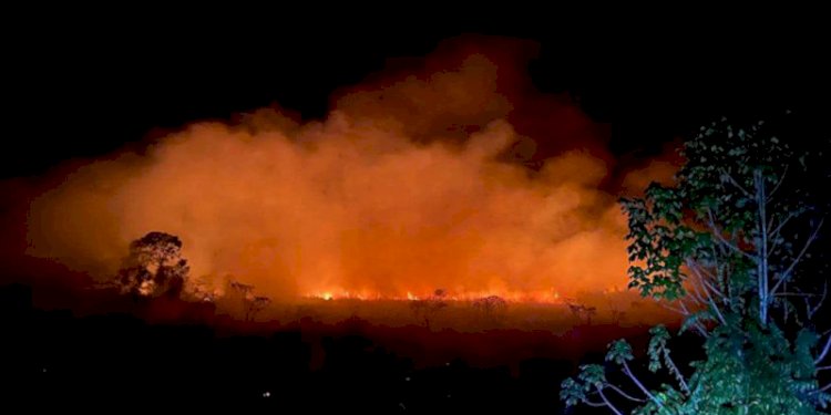 Kobaran api akibat Karhutla di kawasan Alue Penyareng, Gampong Peunaga Cut Ujong, Meureubo, Aceh Barat /BPBD Aceh Barat
