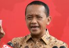 Jabat Menteri ESDM, Bahlil Lahadalia Ternyata Punya Harta Rp310,4 Miliar