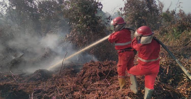 Petugas melakukan pemadaman di lahan terbakar. (ist/rmolsumsel.id) 