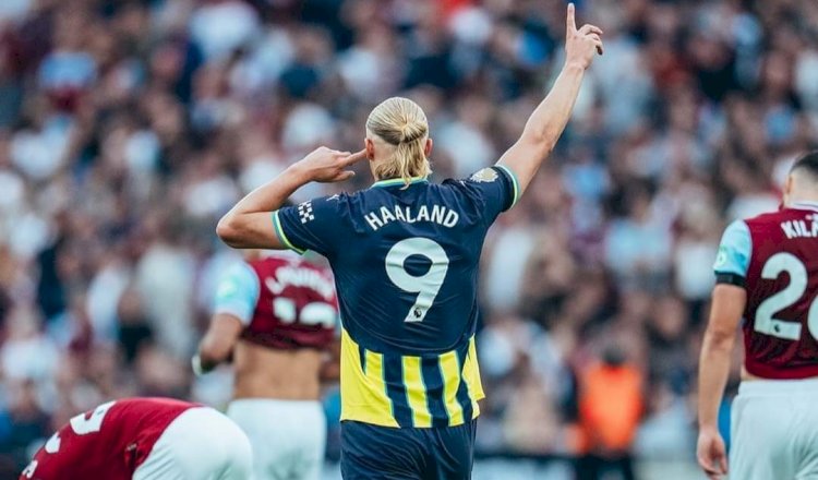 Erling Haalaand/net