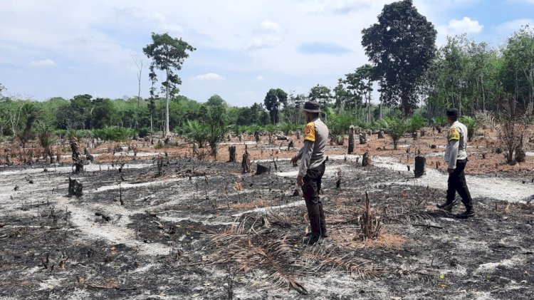 Kebakaran hutan dan lahan di Desa Lubuk Pauh Kabupaten Musi Rawas/ist