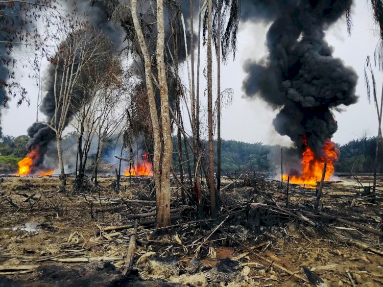Kebocoran pipa minyak di wilayah Sungai Dawas, Dusun 5 Desa Srigunung, Kecamatan Sungai Lilin, Kabupaten Musi Banyuasin/ist