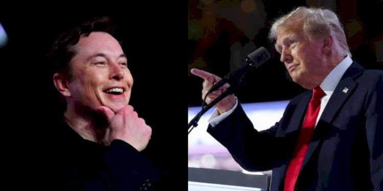 Elon Musk dan Donald Trump/kolase