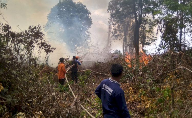 Karhutla terjadi di belakang halaman SMA 1 Tebing Tinggi/ist