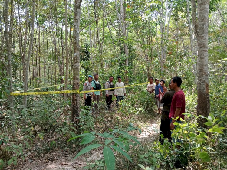 Lokasi tempat korban diserang sekelompok gajah liar saat sedang menyadap karet/ Foto: Kapolsek Muara Lakitan)