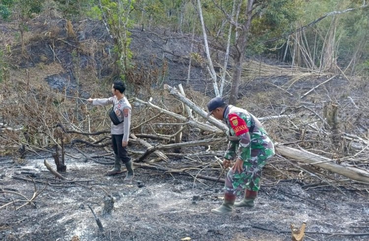 Karhutla di Empat Lawang padam berkat turun hujan/ist