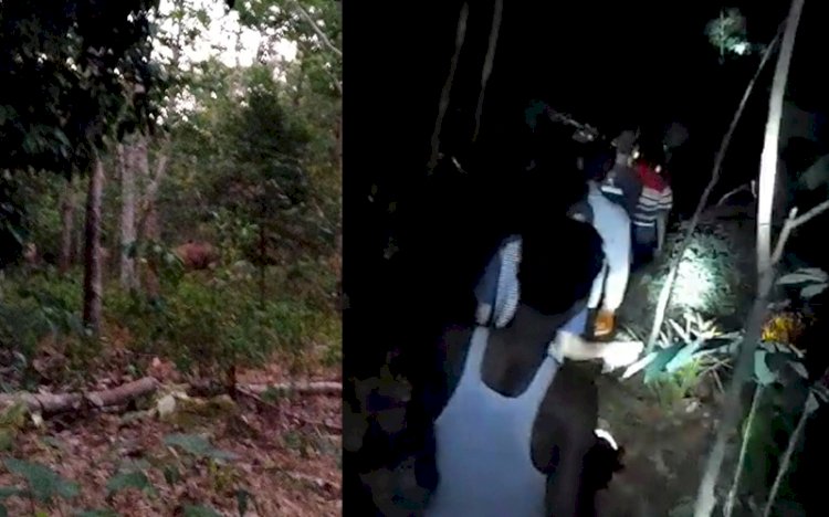 Warga bersama-sama berusaha menggiring gajah agar tidak mendekati pemukiman. (Handout)