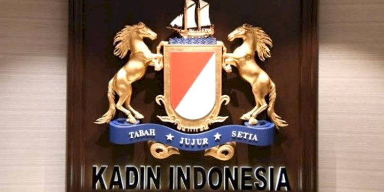 Ilustrasi Kadin/Net