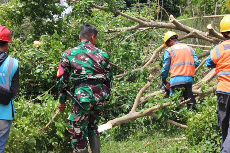 PLN bersama kodim 0422 seluma lakukan pembersihan jaringan PLN (humas PLN)