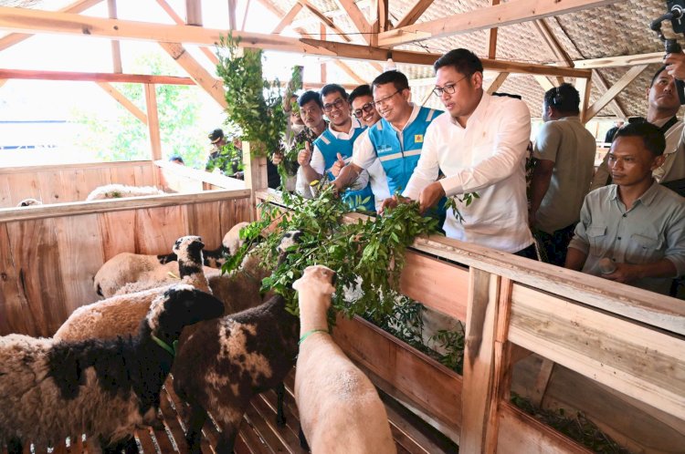 Wakil Menteri Pertanian Sudaryono meresmikan program Pengembangan Ekosistem Biomassa. (Humas PLN)