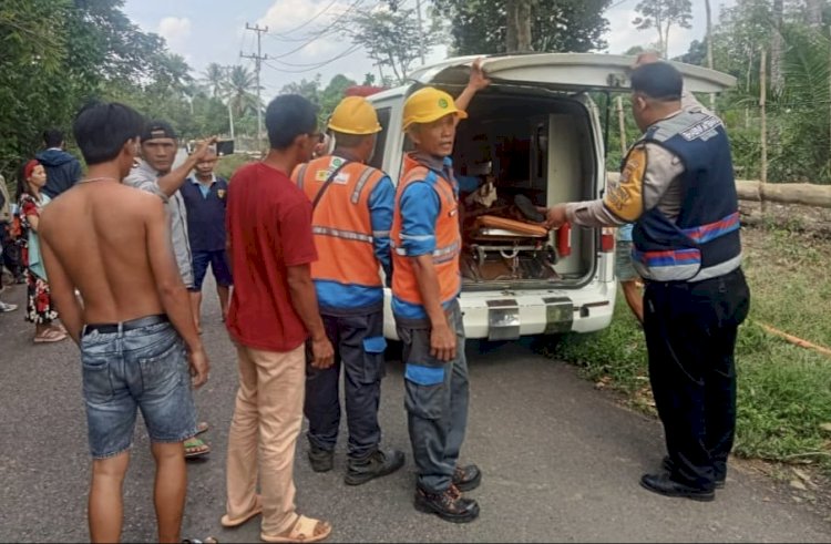 Seorang petugas PLN dilarikan ke rumah sakit akibat tersengat listrik saat bertugas memanjat tiang listrik/ist