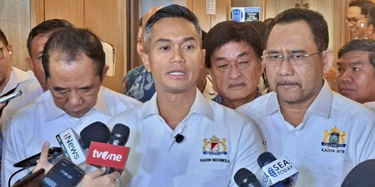 Ketua Umum Kamar Dagang dan Industri Indonesia (Kadin) periode 2024-2029, Anindya Bakrie/RMOL