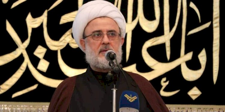 Wakil Kepala Dewan Pusat Hizbullah, Nabil Kaouk/Net