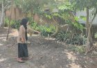 Wanita di Lubuklinggau Jadi Korban Begal, Dicekik dan Ditendang Pelaku hingga Tersungkur 
