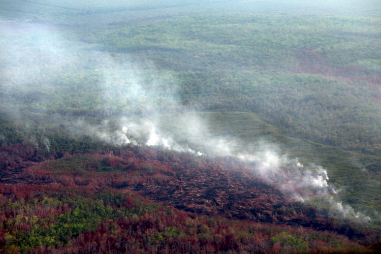 Lokasi lahan terbakar yang ada di Muba. (ist/rmolsumsel.id) 