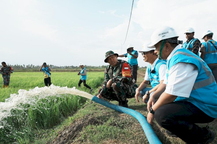 Melalui program Electrifying Agriculture (EA), PLN menyediakan suplai listrik untuk lahan percontohan seluas 1.058 hektare di Kampung Telaga Sari/Humas