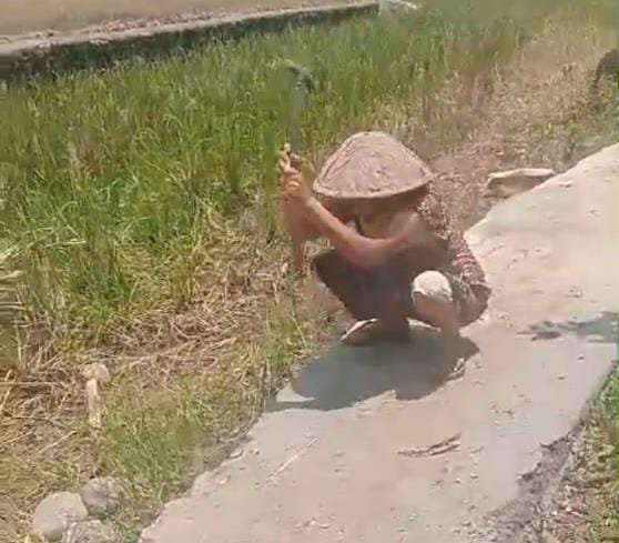 Tangkapan layar video emak-emak di Empat Lawang merusak jalan desa. (ist/rmolsumsel,id) 