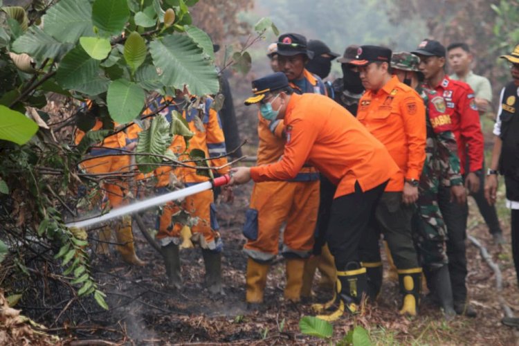 Pj Bupati Banyuasin M Farid saat memadamkan api di kawasan Kenten Laut. (ist/rmolsumsel.id) 