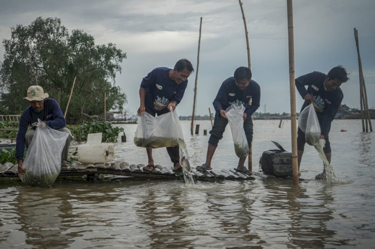 Suasana pada saat pelepasan ikan ke sungai musi (Humas Pertamina)