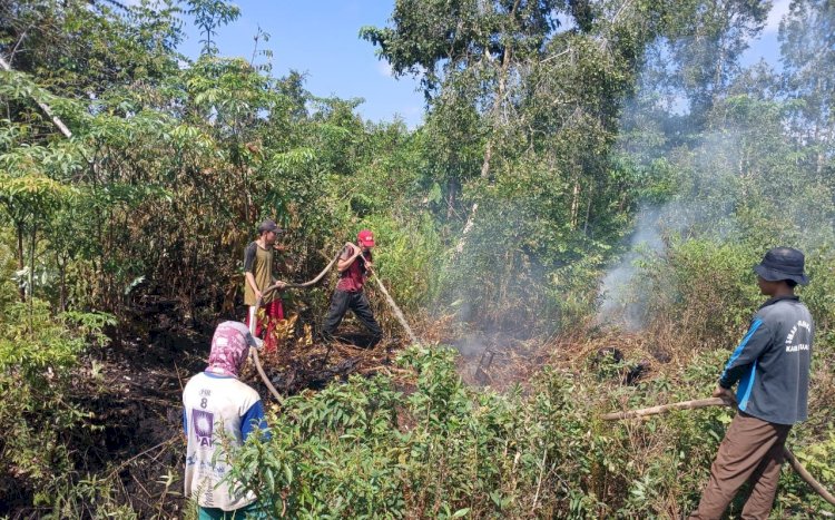 Salah satu lahan yang terbakar pekan ini di sejumlah wilayah Kabupaten OKI.(dokumentasi BPBD OKI)