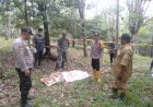 Petani Musi Rawas Ditemukan Tewas di Kebun