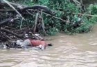 Warga Muara Enim Ditemukan Tewas di Tepian Sungai Ogan