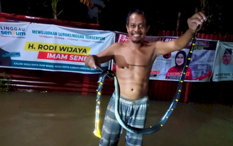 Salah satu warga berhasil menangkap ular yang muncul akibat banjir di Lubuklinggau/repro
