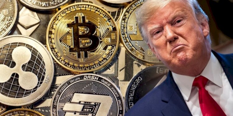 Donald Trump/net