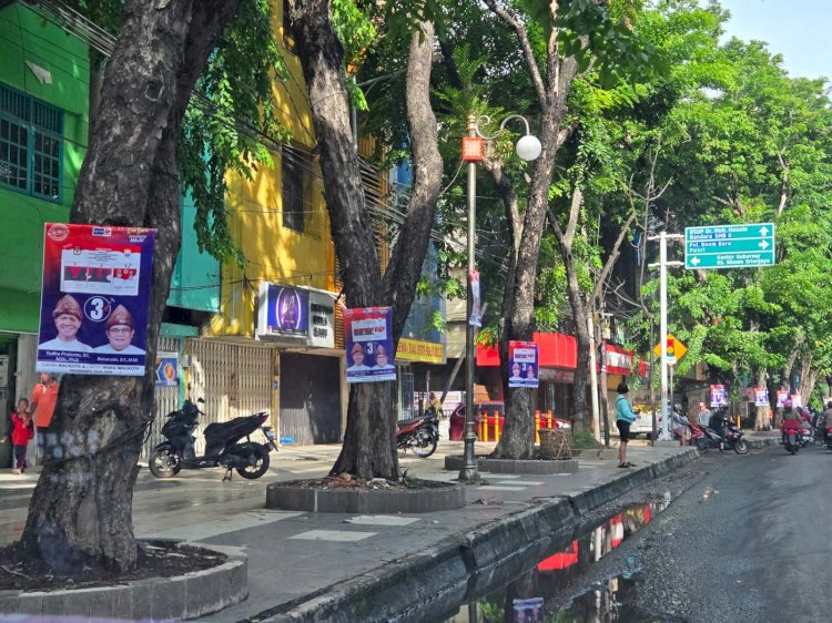 Alat peraga kampanye calon Wali Kota Palembang yang terpasang di pepohonan.  (ist/rmolsumsel.id) 