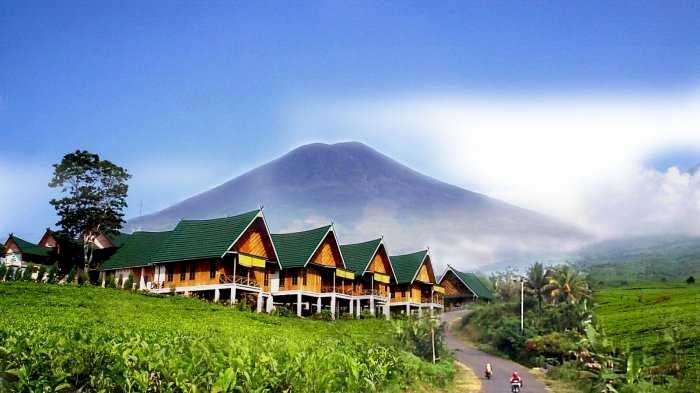 Kawasan wisata kebun teh kota Pagar Alam. (Handout)
