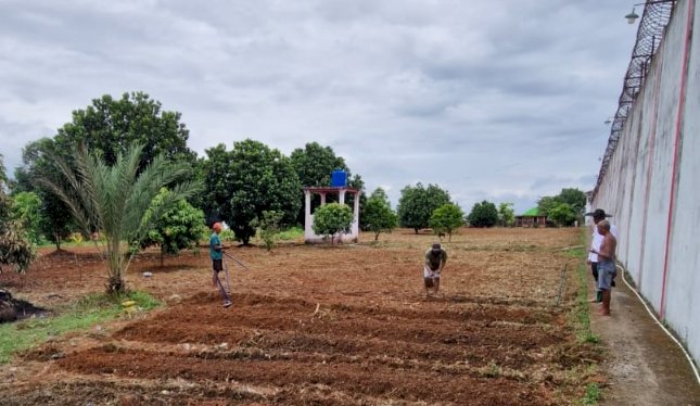 Lahan kosong yang digarap warga binaan untuk pertanian. (ist/rmolsumsel.id) 