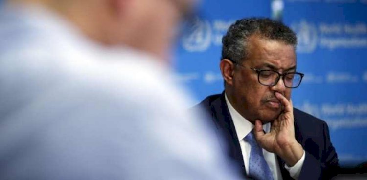 Direktur Jenderal Organisasi Kesehatan Dunia (WHO) Tedros Adhanom Ghebreyesus/Net