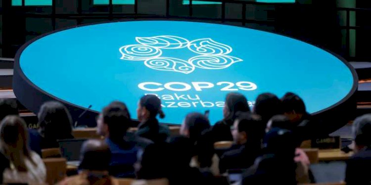 COP29 2024/Net