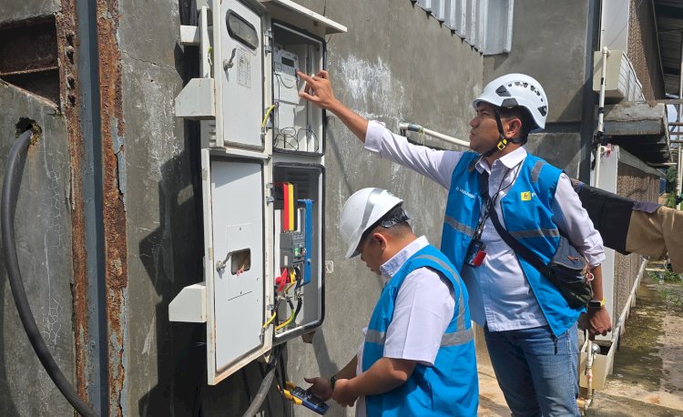 Pegawai PLN melakukan pengecekan/ist
